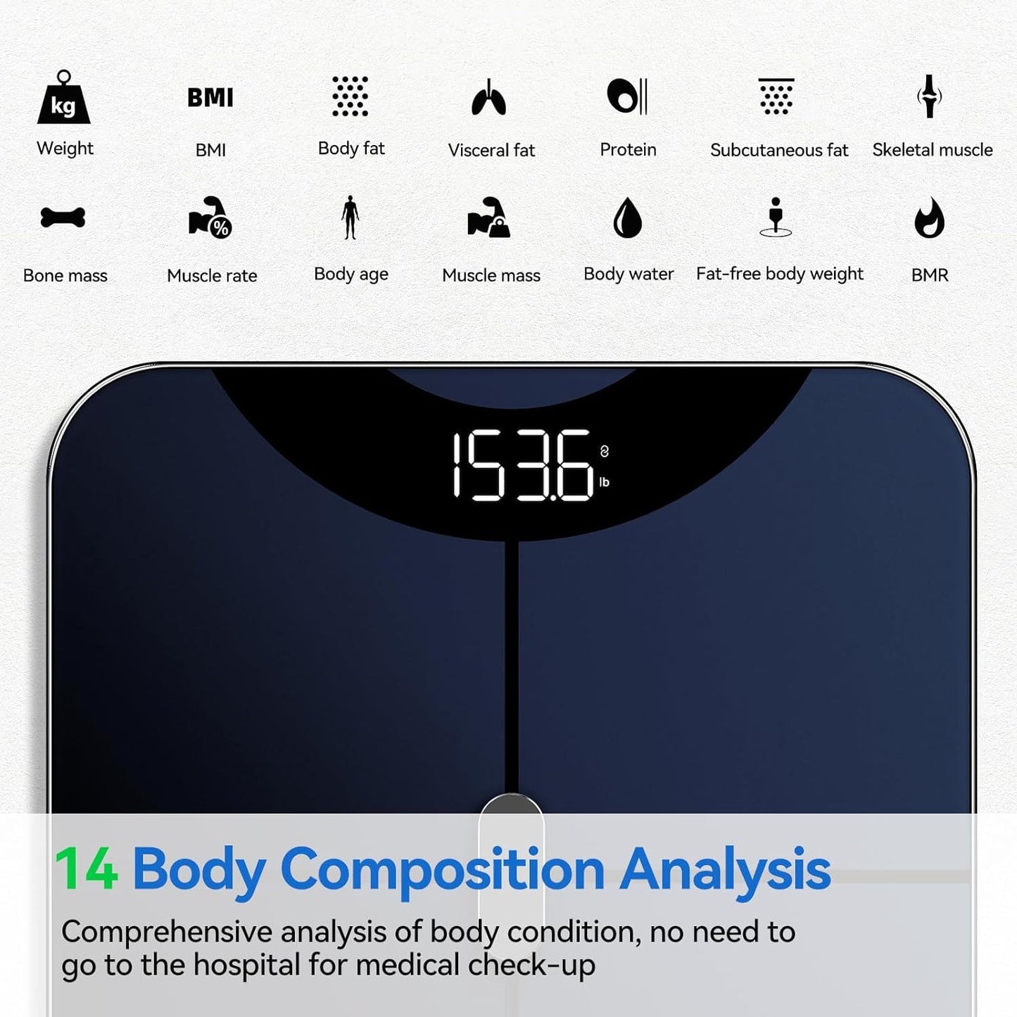 MyFitness Scale