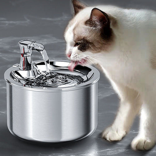 AquaPurr Fountain Review: The Best Veterinarian-Recommended Cat Water Dispenser for Hydration and Health