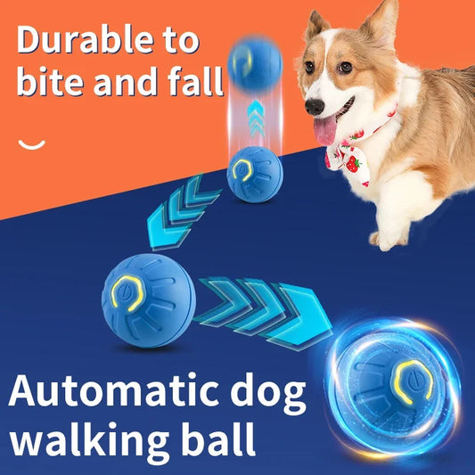 Bounce Buddy